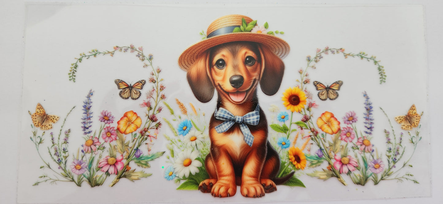 Animals