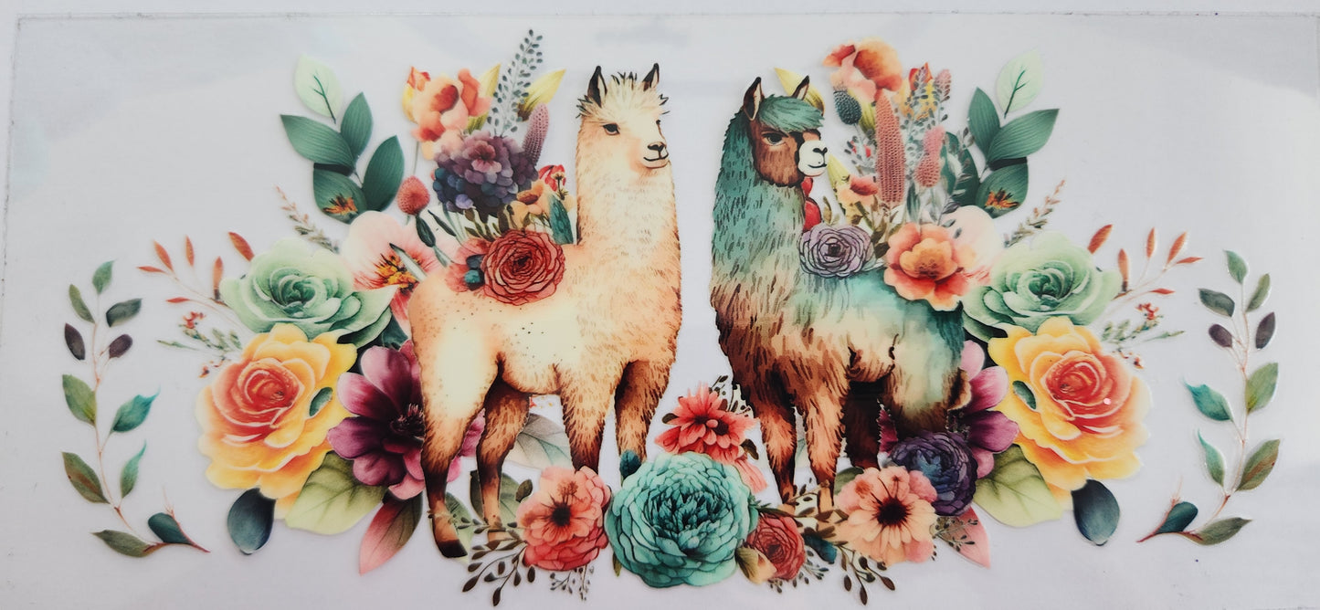Animals