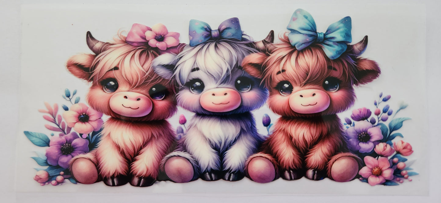 Animals