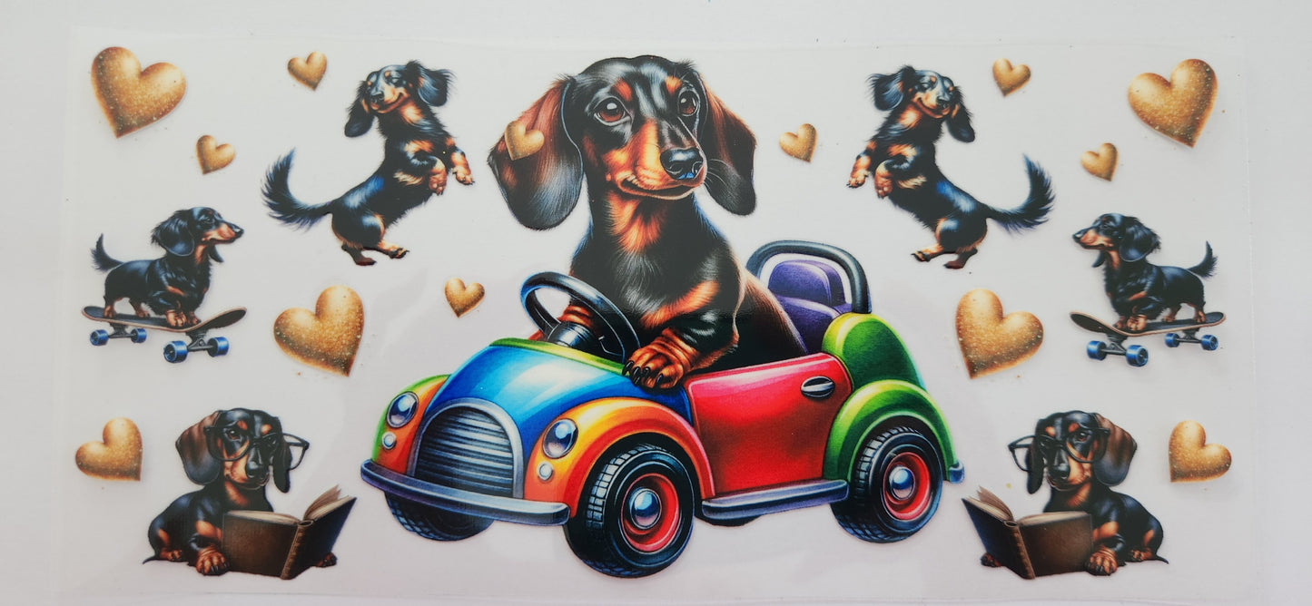 Animals