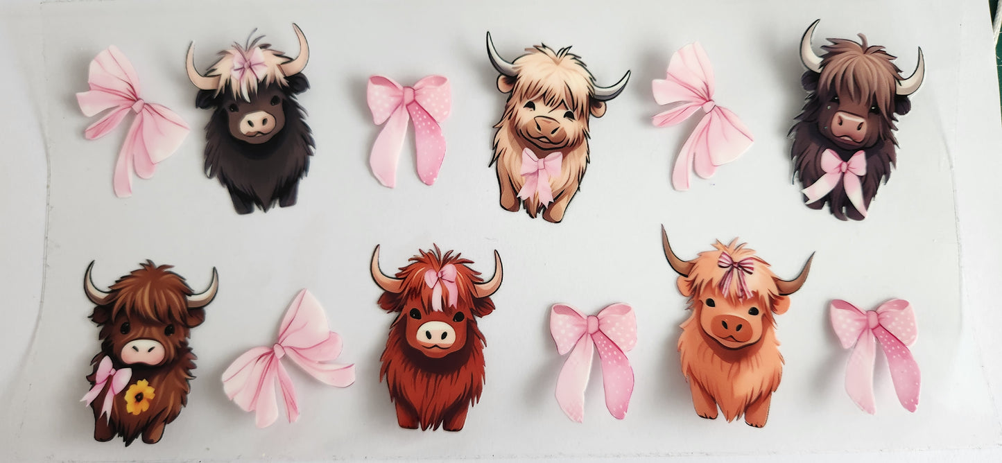 Animals